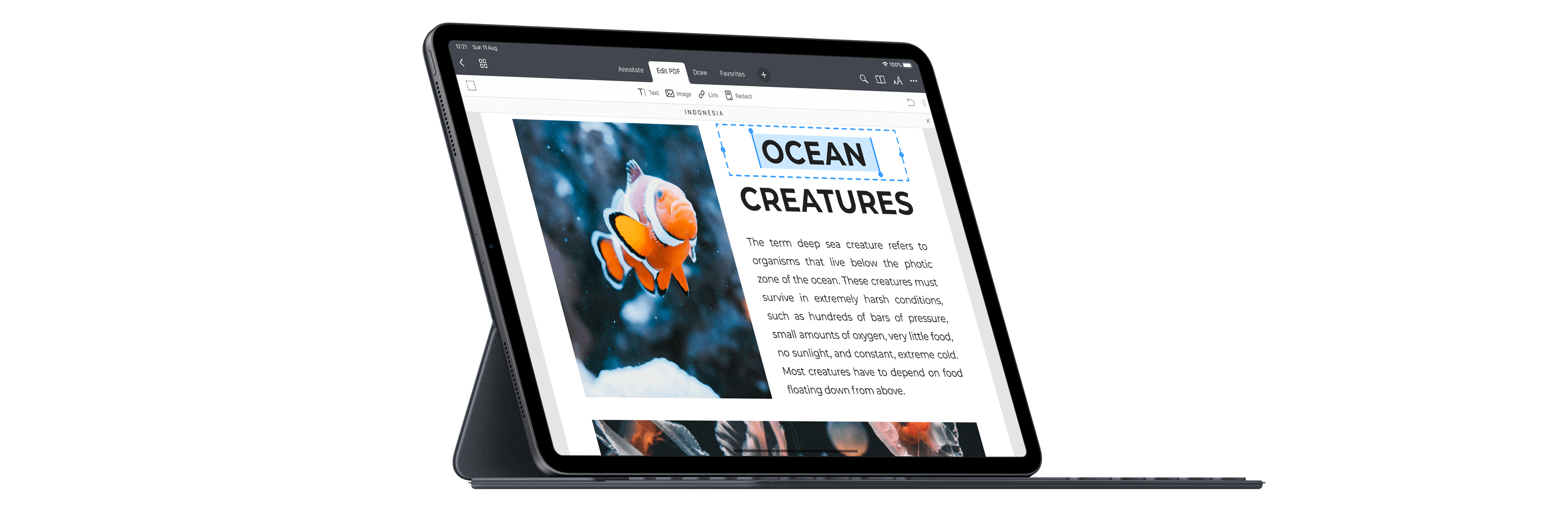 PDF Expert edit interface showing text and image editing on Mac
